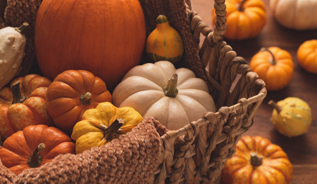 Fall Ingredients: Incorporating Seasonal Flavors Into Your Grilling