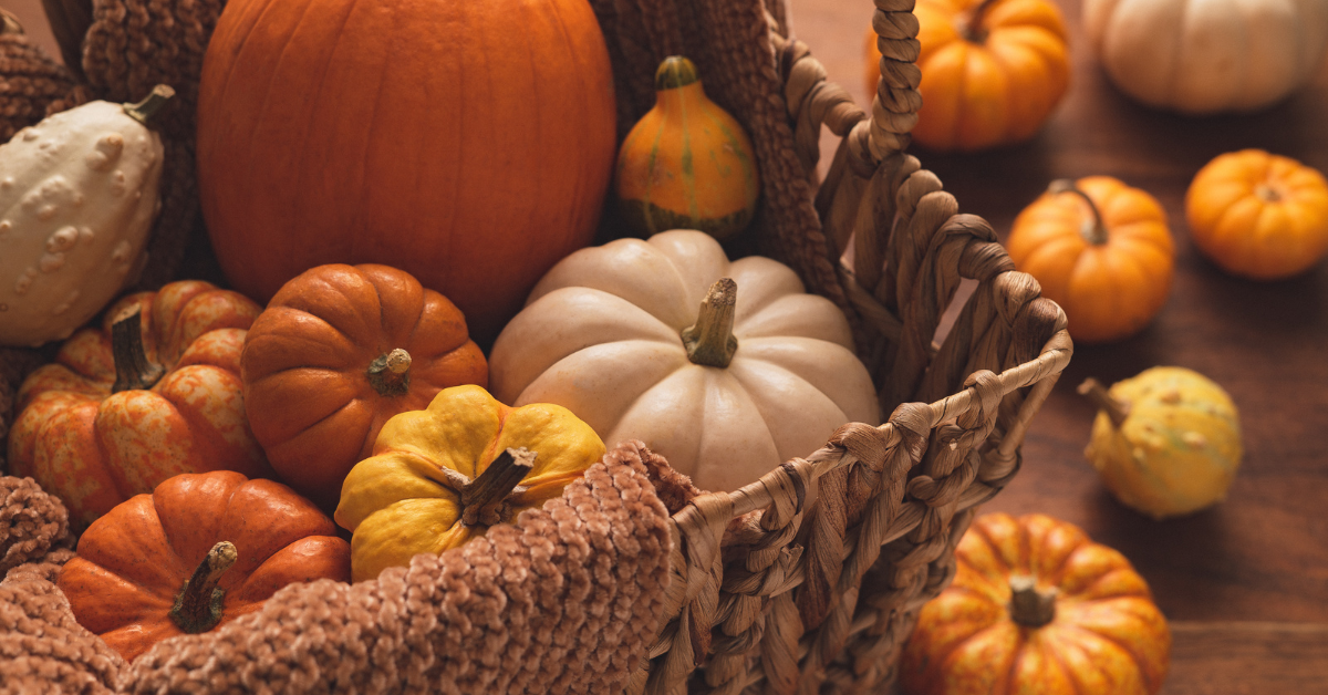 Pumpkins: fall ingredients