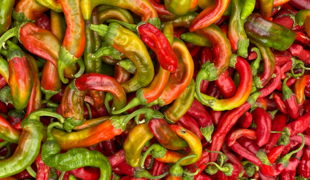 Spicy but Balanced: How to Manage Heat on the Grill