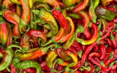 Spicy but Balanced: How to Manage Heat on the Grill